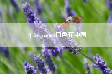 德州白色在中国