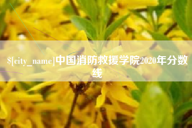 德州中国消防救援学院2020年分数线