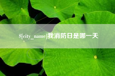 德州我消防日是哪一天