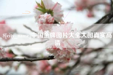 德州中国金牌图片大全大图真实高清