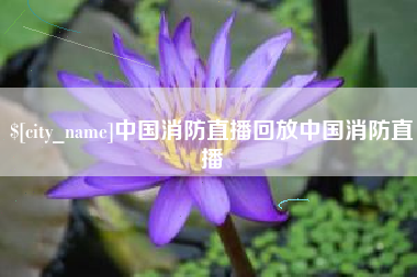 德州中国消防直播回放中国消防直播