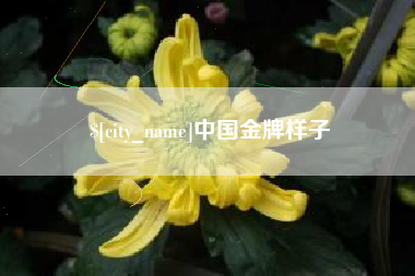 德州中国金牌样子