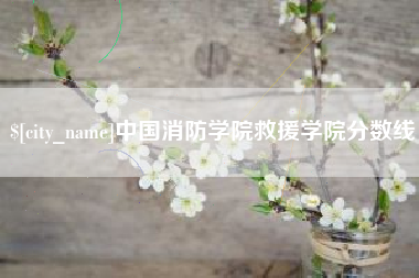 德州中国消防学院救援学院分数线
