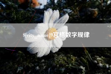 德州9宫格数字规律