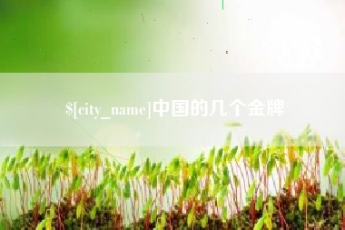 德州中国的几个金牌