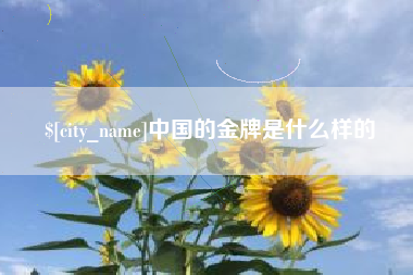 德州中国的金牌是什么样的