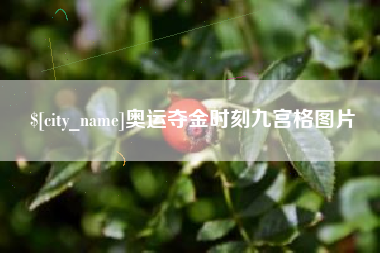 德州奥运夺金时刻九宫格图片