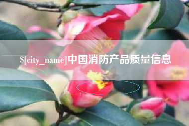德州中国消防产品质量信息