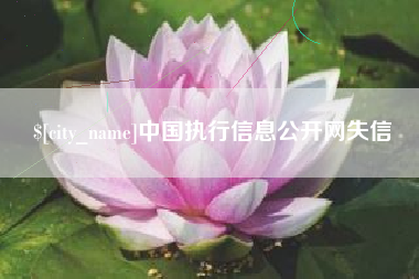 德州中国执行信息公开网失信