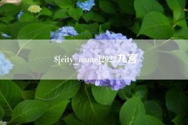 德州2022九宫