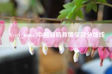 德州中国消防救援学院分数线
