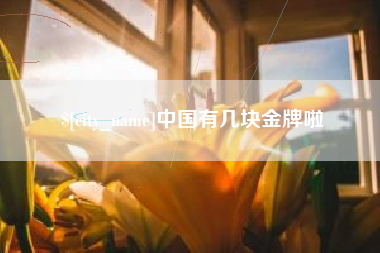 德州中国有几块金牌啦