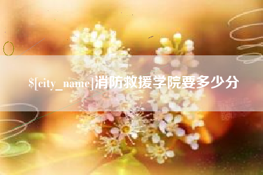 德州消防救援学院要多少分