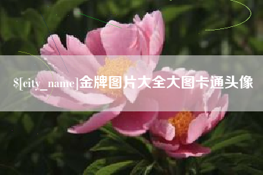 德州金牌图片大全大图卡通头像