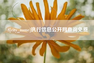 德州执行信息公开网查询免费