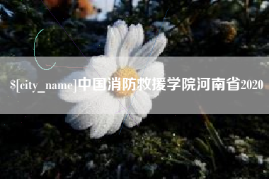 德州中国消防救援学院河南省2020